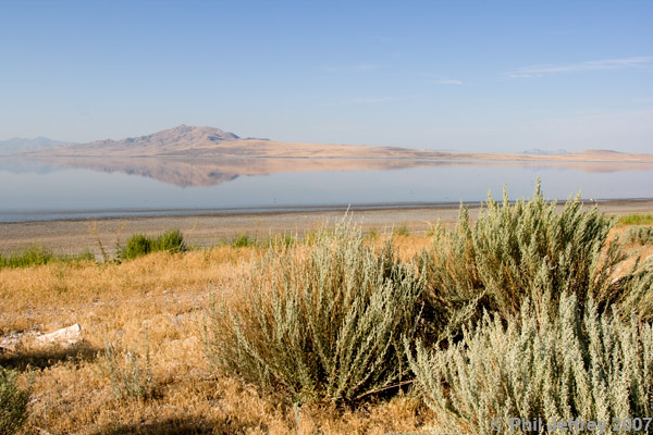 Antelope Island