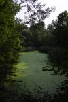 Upper Lobe, Ramble, Central Park