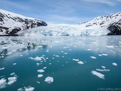 Aialik Glacier