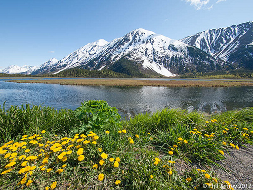 Tern Lake